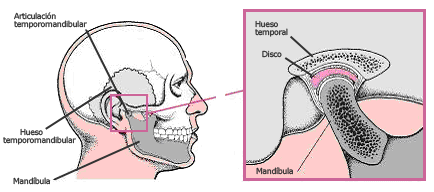 Articulación Temporomandibular